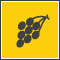 wine tours icon